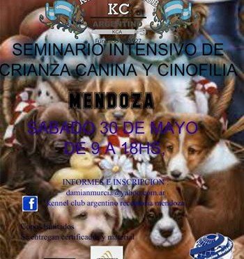 Imagen destacada del artículo «Seminario en Mendoza»